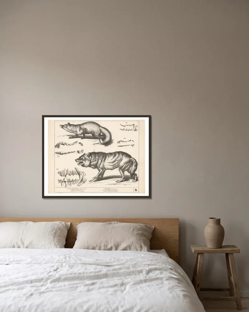 1. Der gemeine Fuchs. 2. Der Wolf av Heinrich Leutemann inramad på en vägg