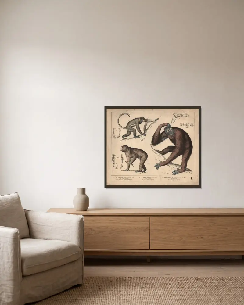 1. Der Orang-Utang. 2. Der gemeine Affe. 3 Die grüne Meer-Katze av Heinrich Leutemann inramad på en vägg
