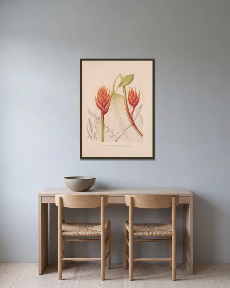 Heliconia Ferdinando Coburgi av Heinrich Wawra inramad på en vägg