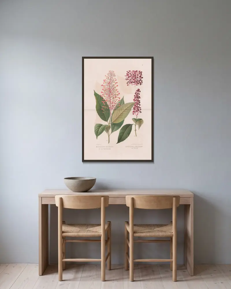 Psychotria Mulleriana, Psychotria Mulleriana Var Flaccida av Heinrich Wawra inramad på en vägg