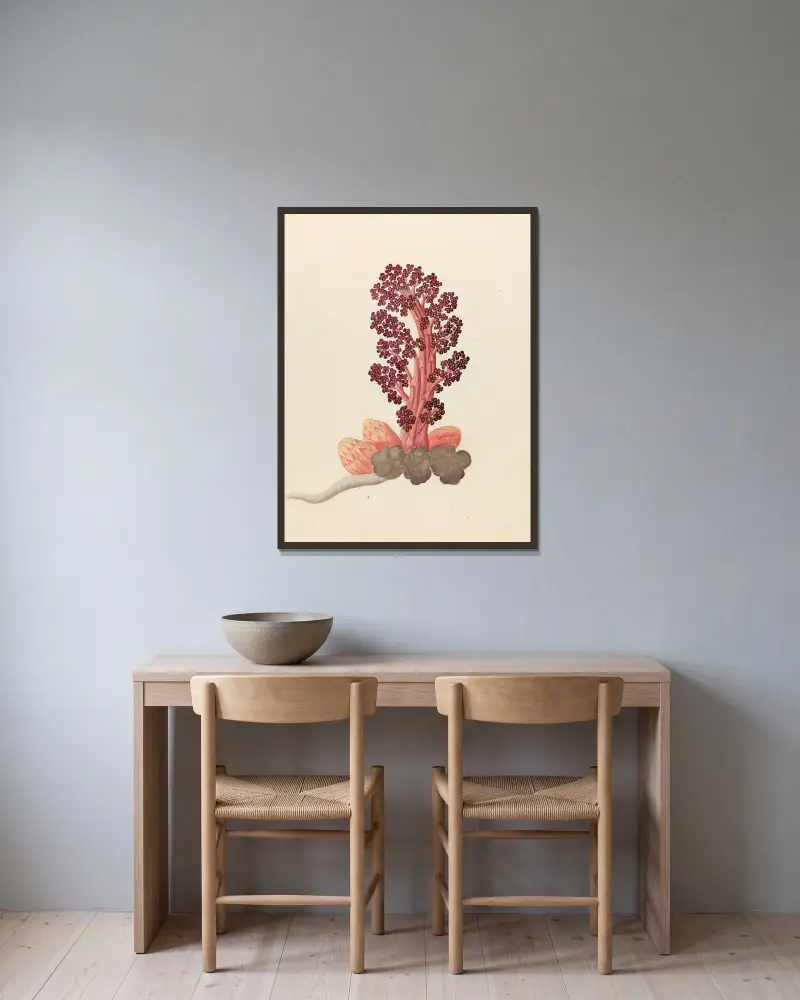 Aphyteia hydnora  [Nymphaea nouchali] av Clemenz Heinrich Wehdemann inramad på en vägg
