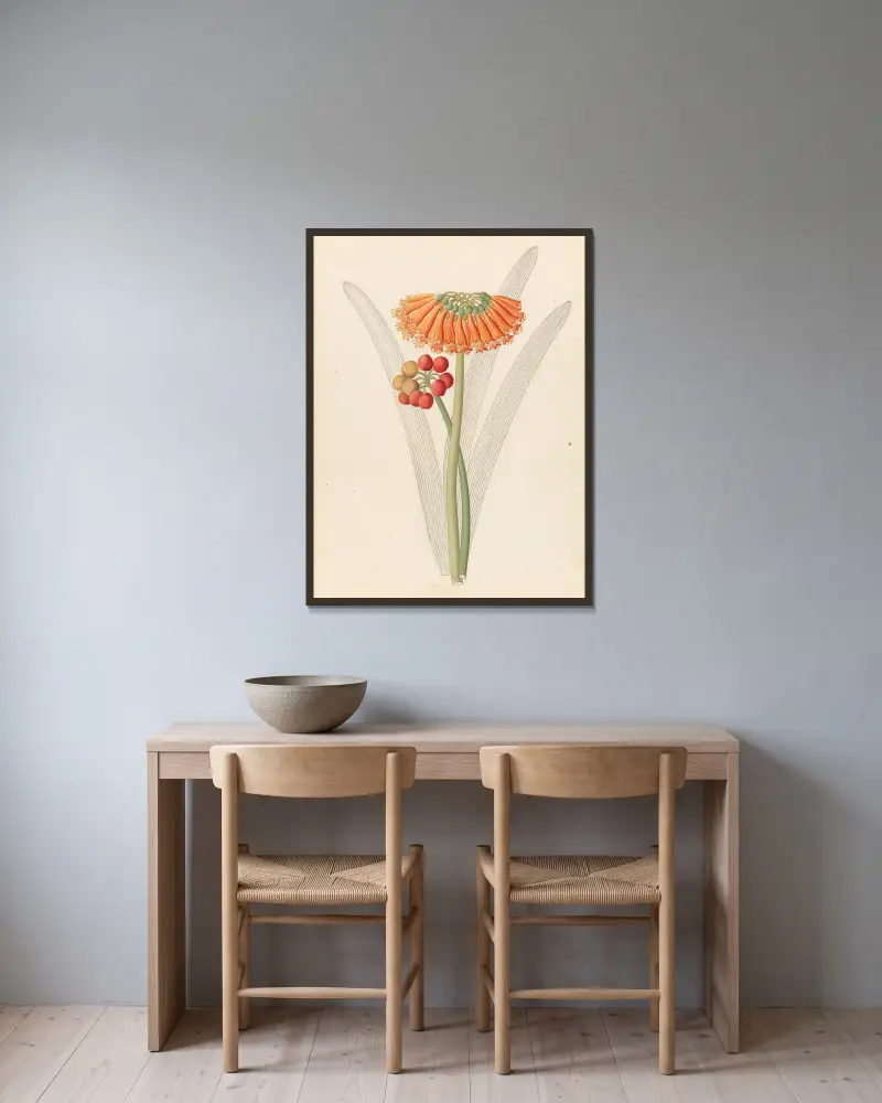 Cyrtanthus [Clivia nobilis] av Clemenz Heinrich Wehdemann inramad på en vägg