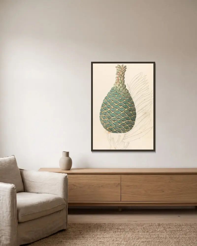 Zamia caffra [Encephalartos altensteinii female cone] av Clemenz Heinrich Wehdemann inramad på en vägg