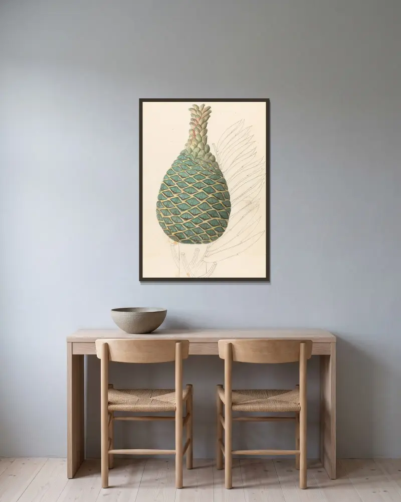 Zamia caffra [Encephalartos altensteinii female cone] av Clemenz Heinrich Wehdemann inramad på en vägg
