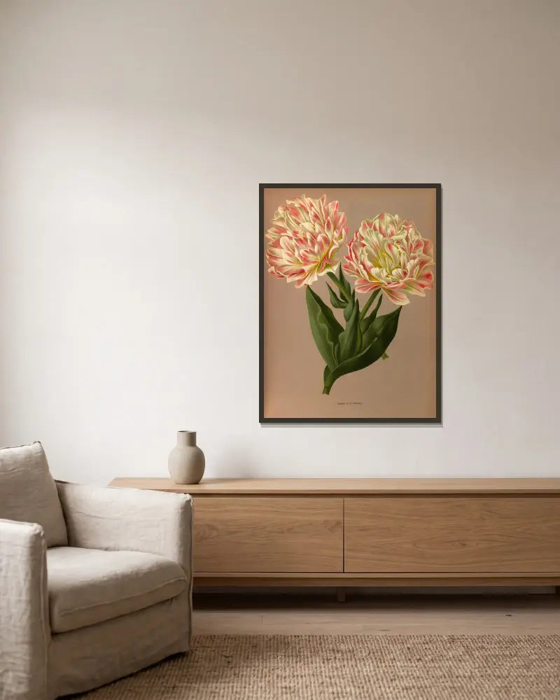 Double Tulip Raphael. av Arentina Hendrica Arendsen inramad på en vägg