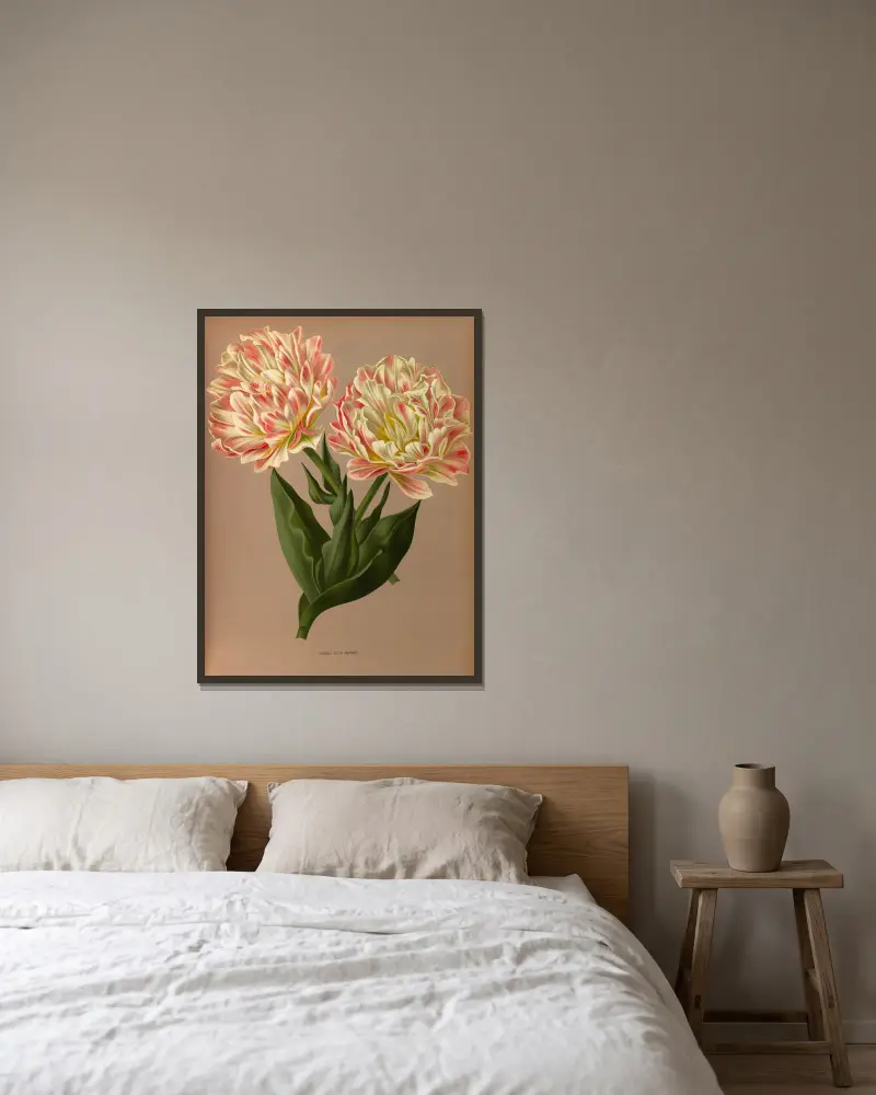 Double Tulip Raphael. av Arentina Hendrica Arendsen inramad på en vägg