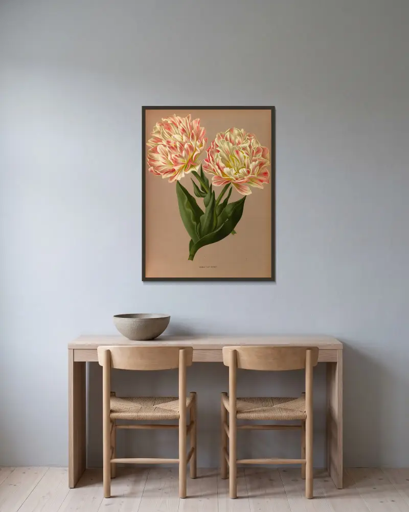Double Tulip Raphael. av Arentina Hendrica Arendsen inramad på en vägg