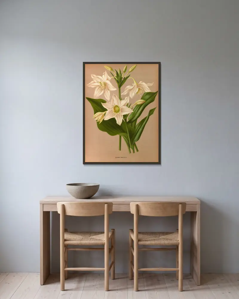 Eucharis amazonica von Arentina Hendrica Arendsen gerahmt an einer Wand