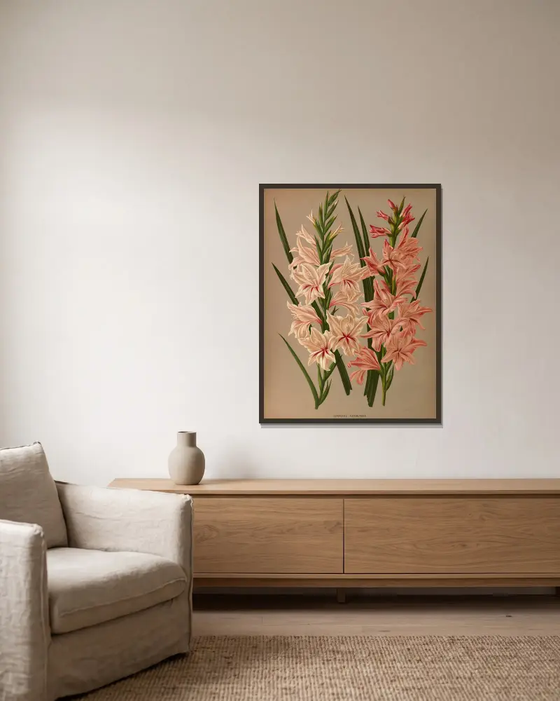 Gladiolus Floribundus av Arentina Hendrica Arendsen inramad på en vägg