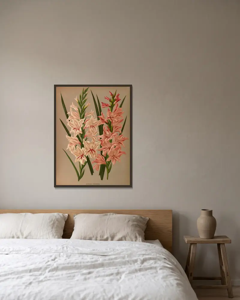 Gladiolus Floribundus av Arentina Hendrica Arendsen inramad på en vägg