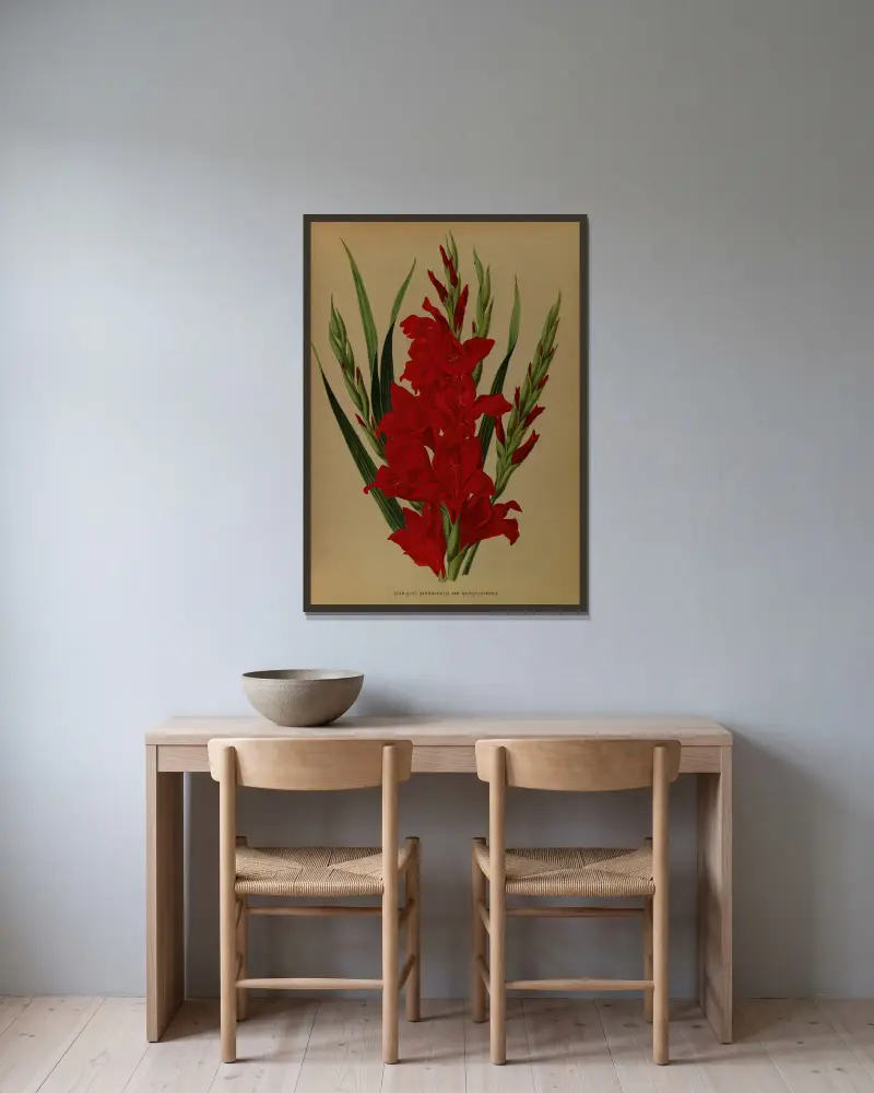 Gladiolus gandavensis var. 'Brench Leyensis' av Arentina Hendrica Arendsen inramad på en vägg