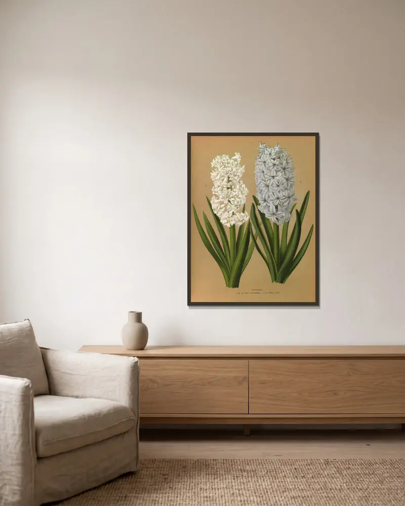 Hyacinths 1.D.W. La Tour D’auvergne 2. S.B. Grand Lilas av Arentina Hendrica Arendsen inramad på en vägg
