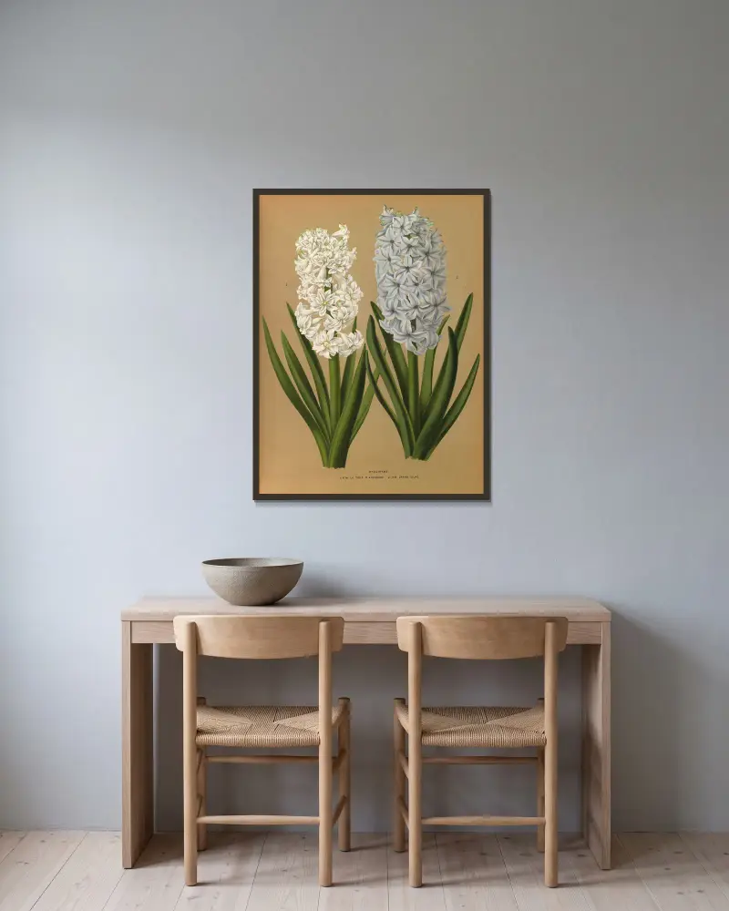 Hyacinths 1.D.W. La Tour D’auvergne 2. S.B. Grand Lilas av Arentina Hendrica Arendsen inramad på en vägg