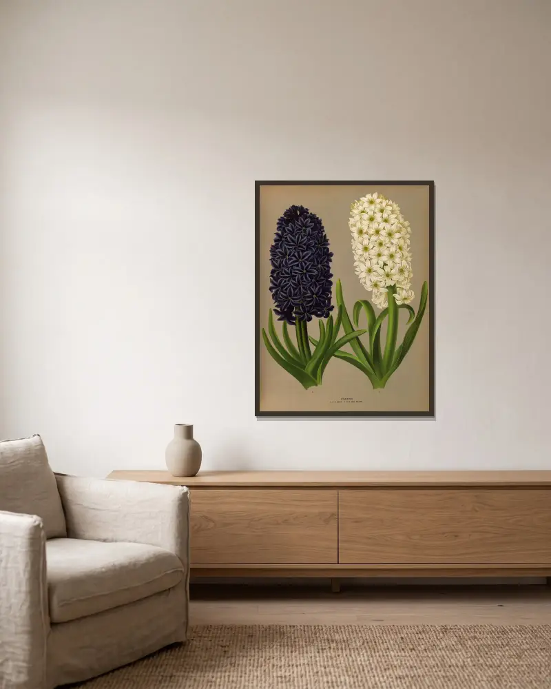 Hyacinths 11 av Arentina Hendrica Arendsen inramad på en vägg