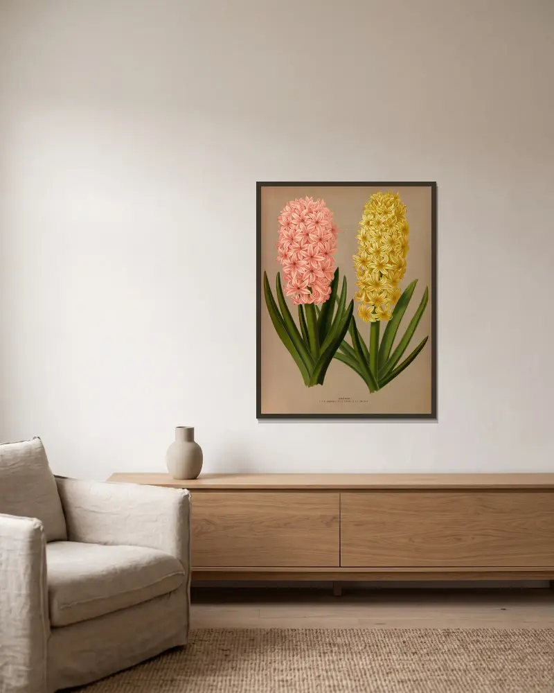 Hyacinths 4 av Arentina Hendrica Arendsen inramad på en vägg
