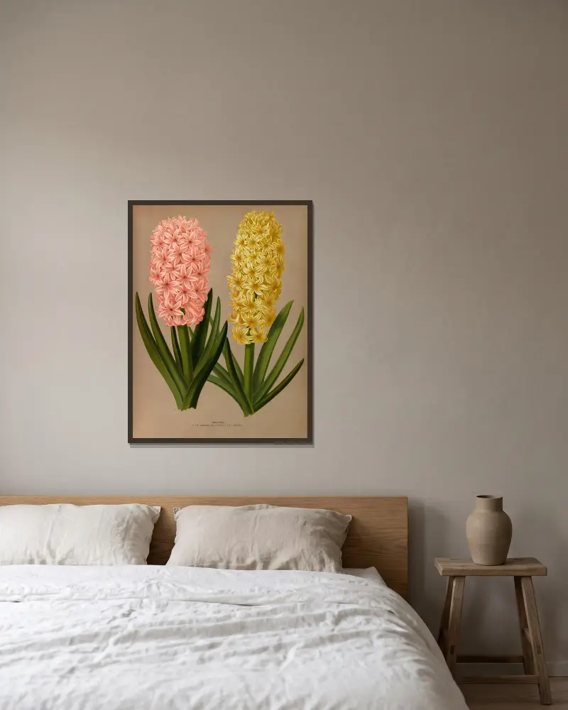 Hyacinths 4 av Arentina Hendrica Arendsen inramad på en vägg