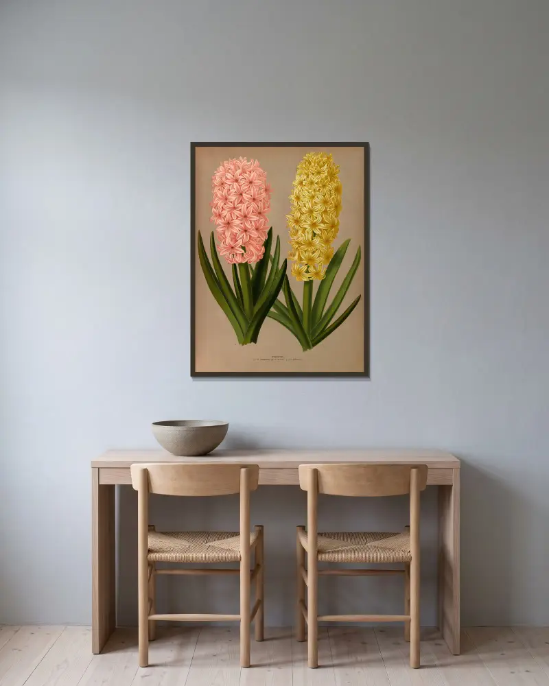 Hyacinths 4 av Arentina Hendrica Arendsen inramad på en vägg