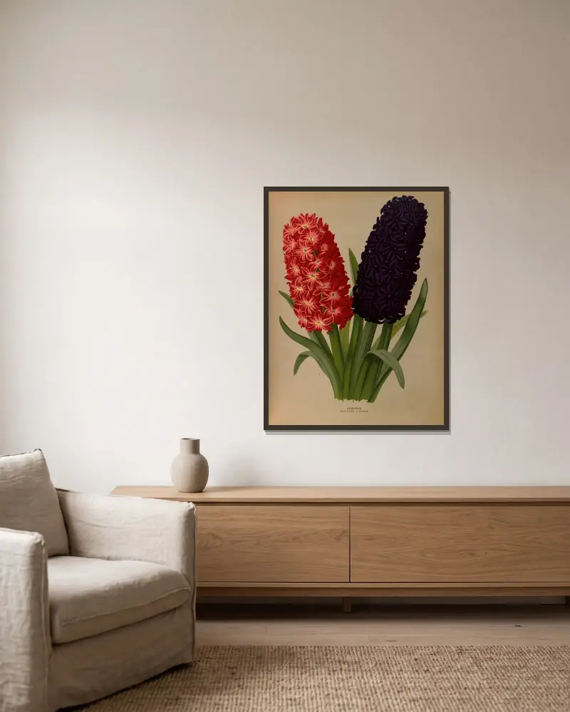 Hyazinthen 5 von Arentina Hendrica Arendsen gerahmt an einer Wand