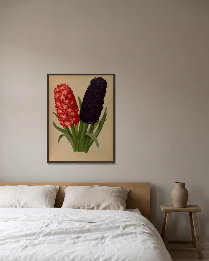 Hyazinthen 5 von Arentina Hendrica Arendsen gerahmt an einer Wand