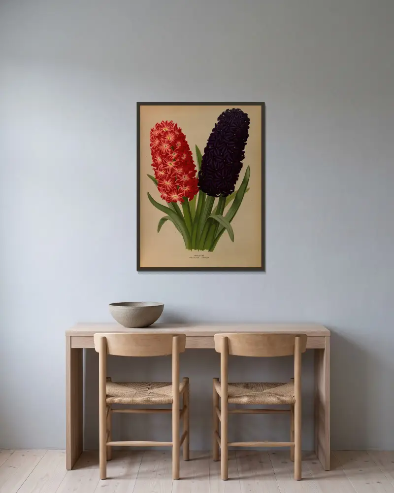 Hyazinthen 5 von Arentina Hendrica Arendsen gerahmt an einer Wand