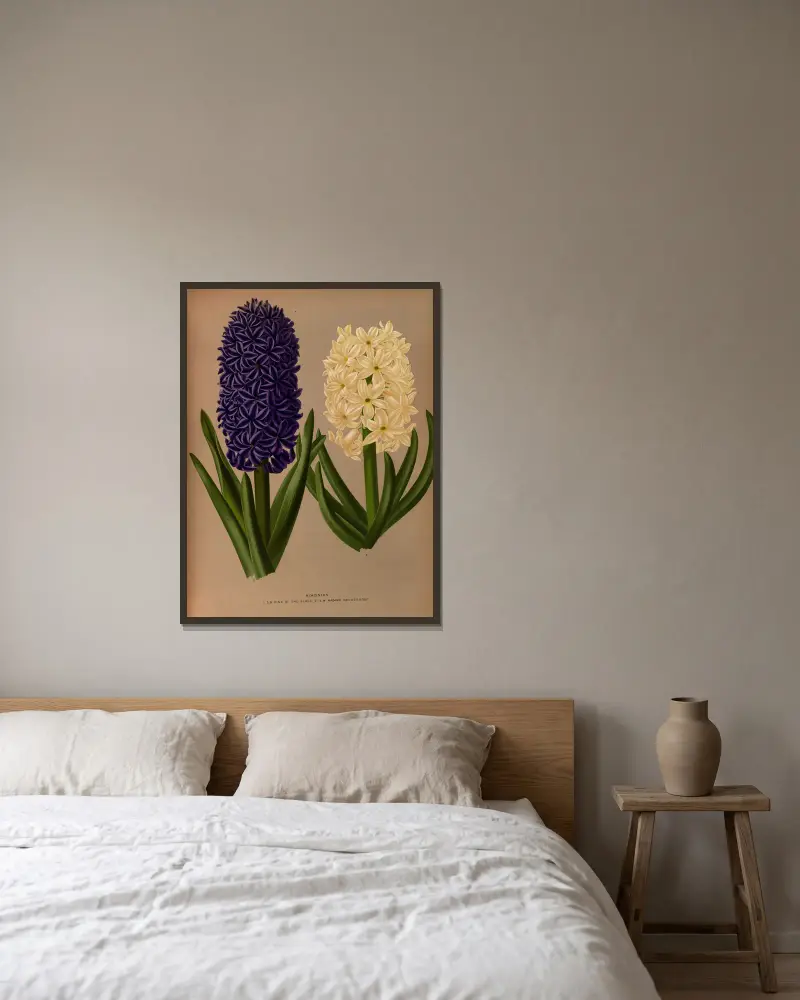 Hyacinths 6 av Arentina Hendrica Arendsen inramad på en vägg