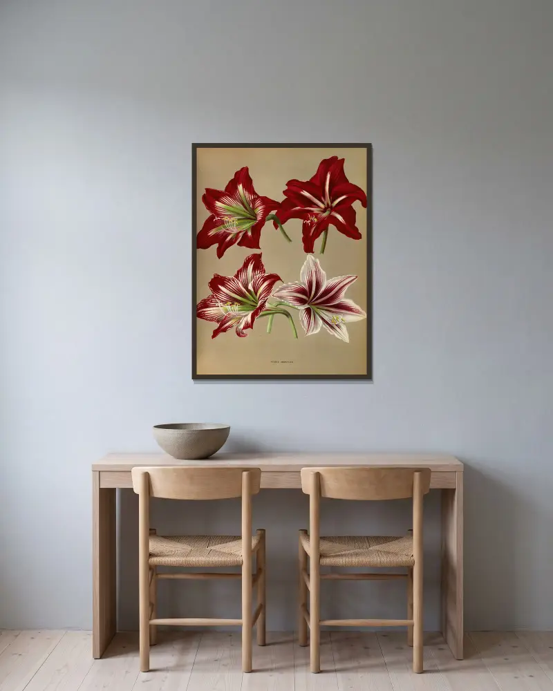 Hybrid Amaryllis. av Arentina Hendrica Arendsen inramad på en vägg