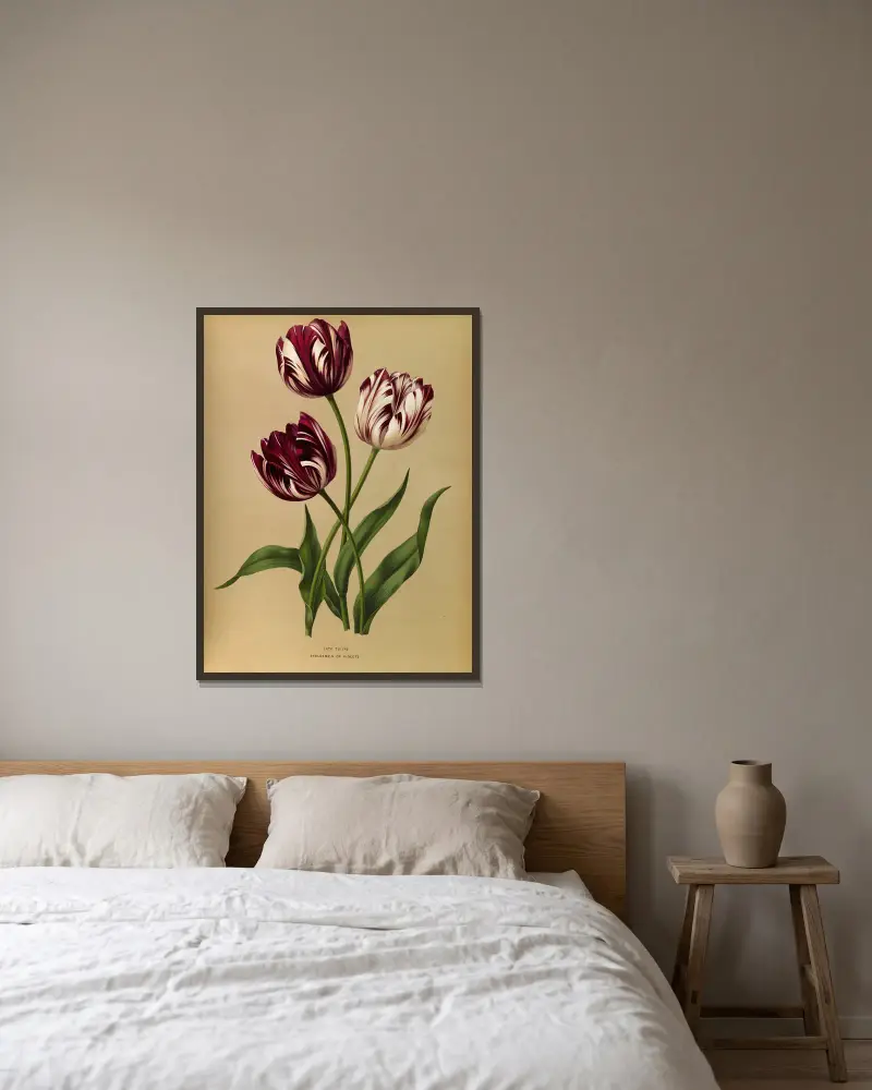 Late Tulips av Arentina Hendrica Arendsen inramad på en vägg