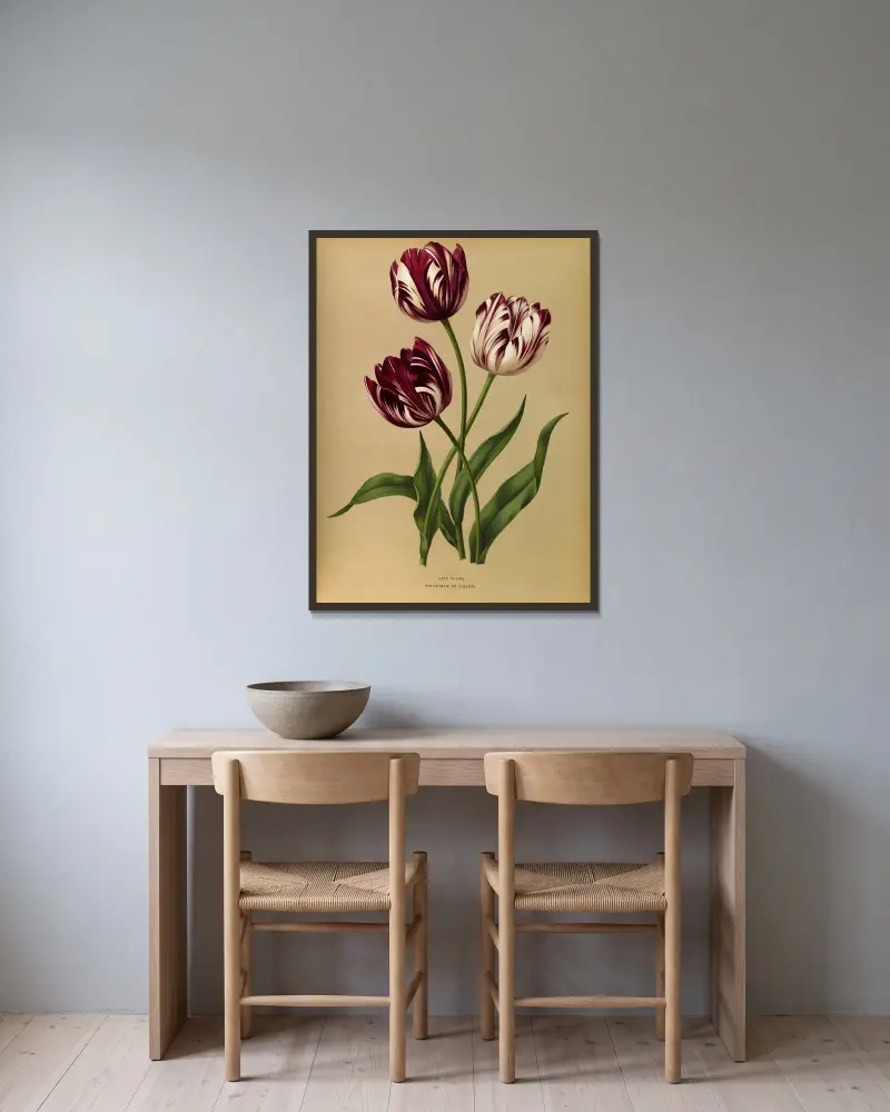 Late Tulips av Arentina Hendrica Arendsen inramad på en vägg