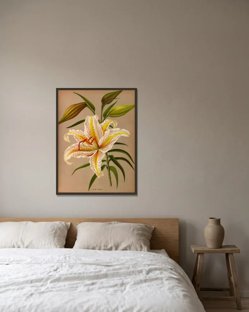 Lilium Auratum av Arentina Hendrica Arendsen inramad på en vägg