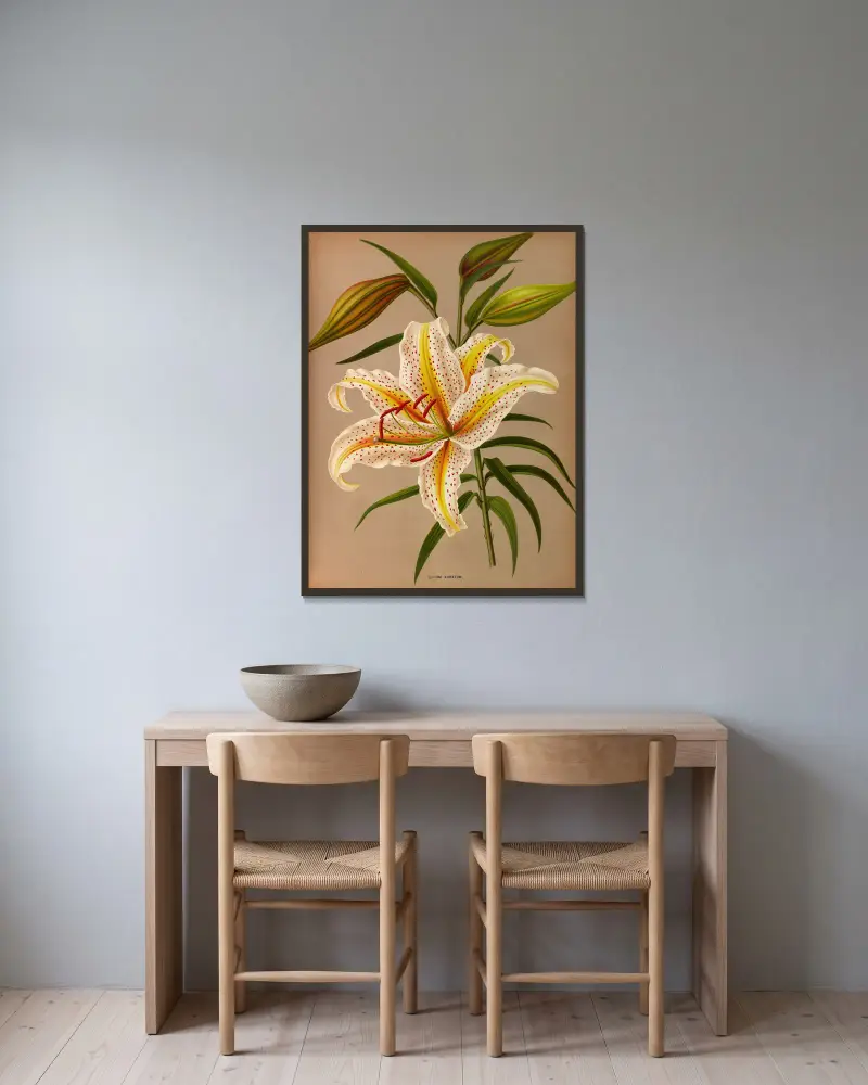 Lilium Auratum av Arentina Hendrica Arendsen inramad på en vägg