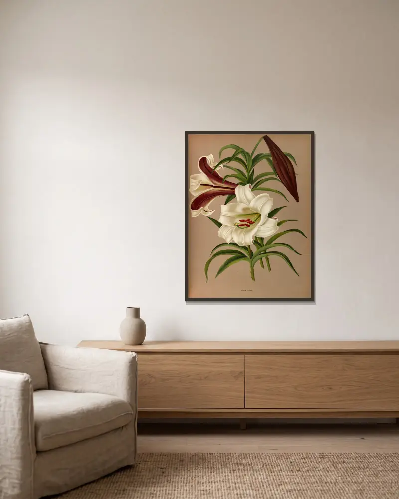 Lilium Brownii av Arentina Hendrica Arendsen inramad på en vägg