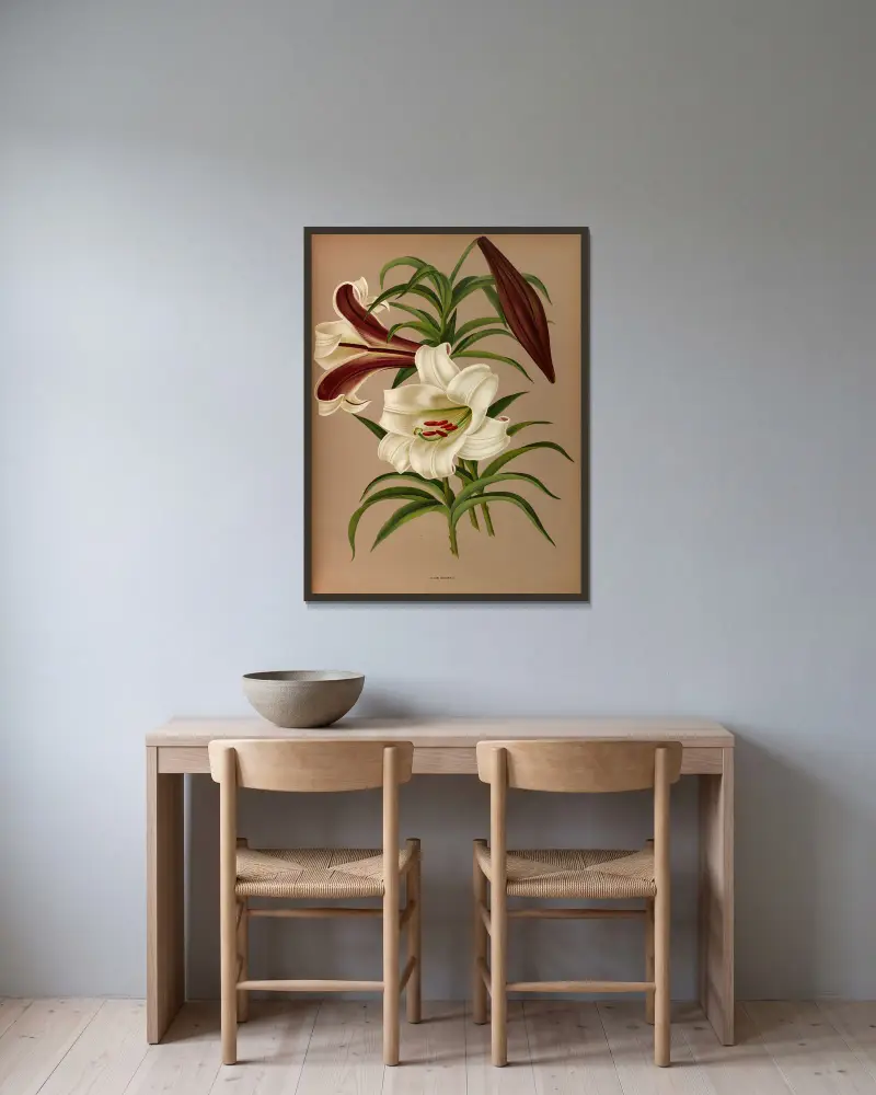 Lilium Brownii av Arentina Hendrica Arendsen inramad på en vägg