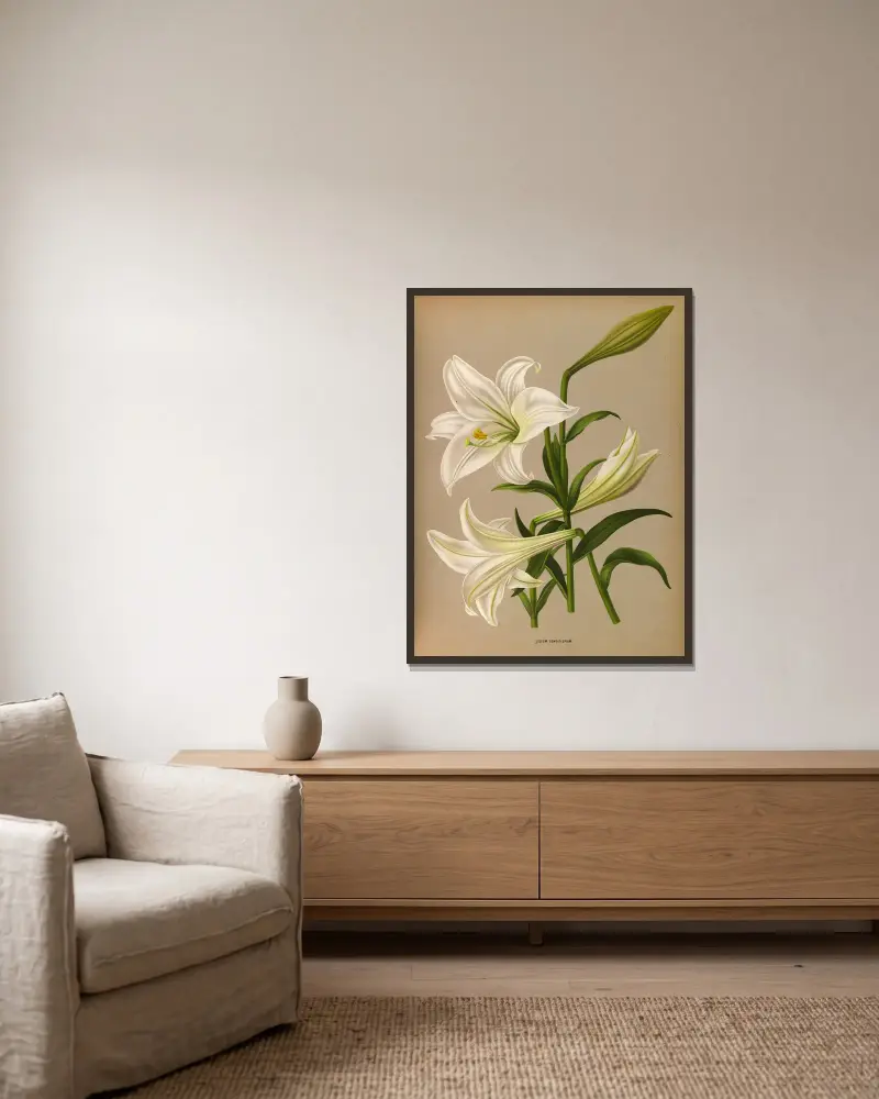 Lilium Longiflurum av Arentina Hendrica Arendsen inramad på en vägg