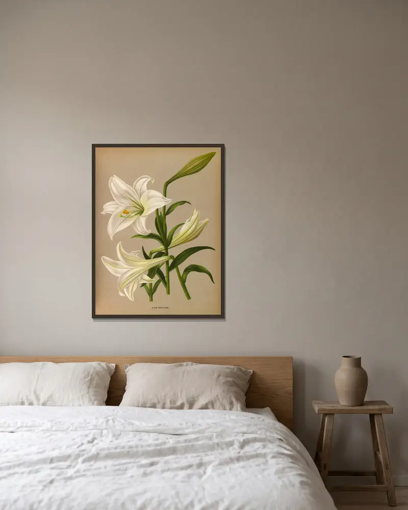 Lilium Longiflurum av Arentina Hendrica Arendsen inramad på en vägg
