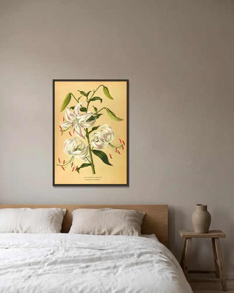 Lilium Speciosum Punctatum av Arentina Hendrica Arendsen inramad på en vägg
