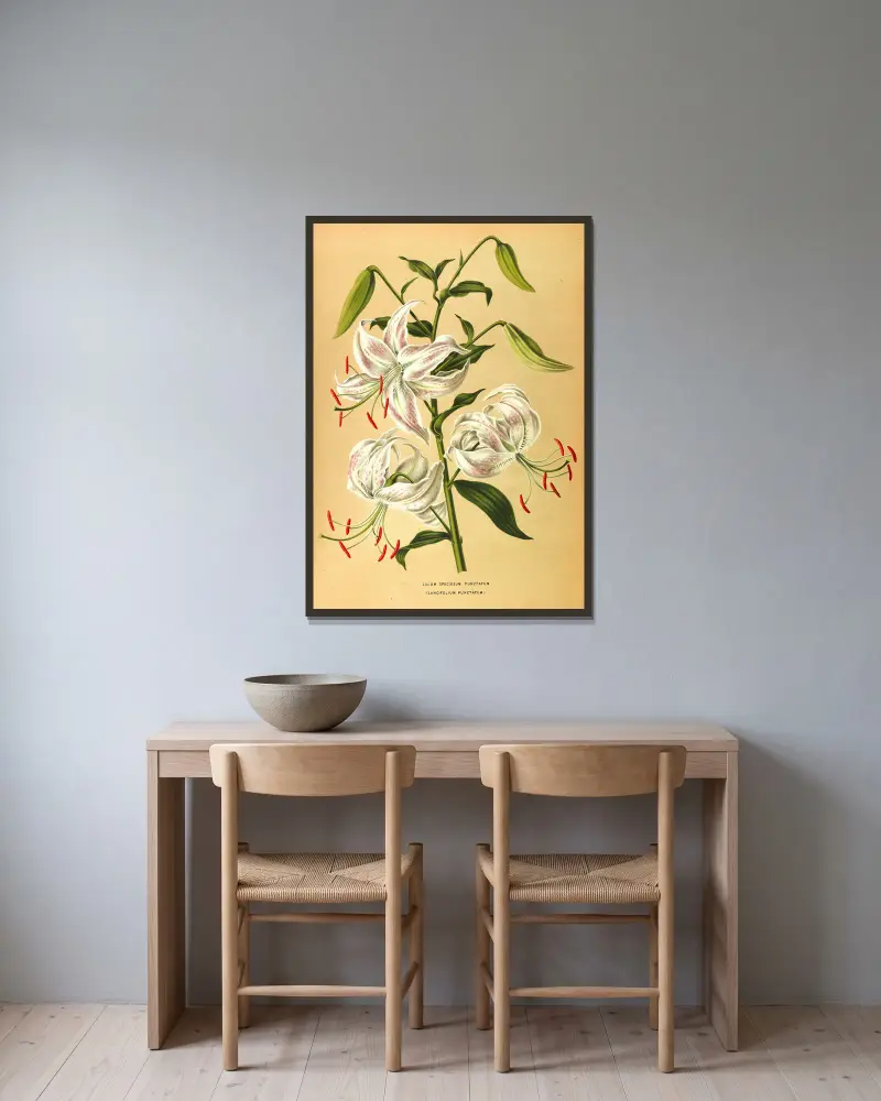 Lilium Speciosum Punctatum av Arentina Hendrica Arendsen inramad på en vägg