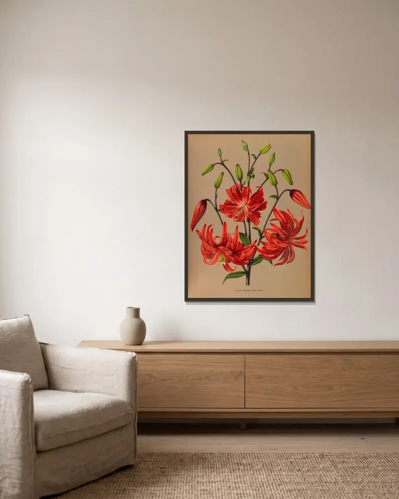 Lilium tigrinum flore pleno av Arentina Hendrica Arendsen inramad på en vägg