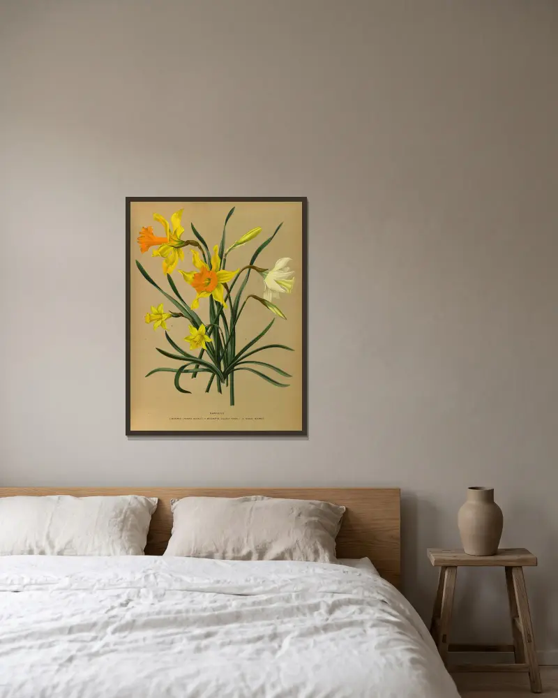 Narcissus 3 av Arentina Hendrica Arendsen inramad på en vägg