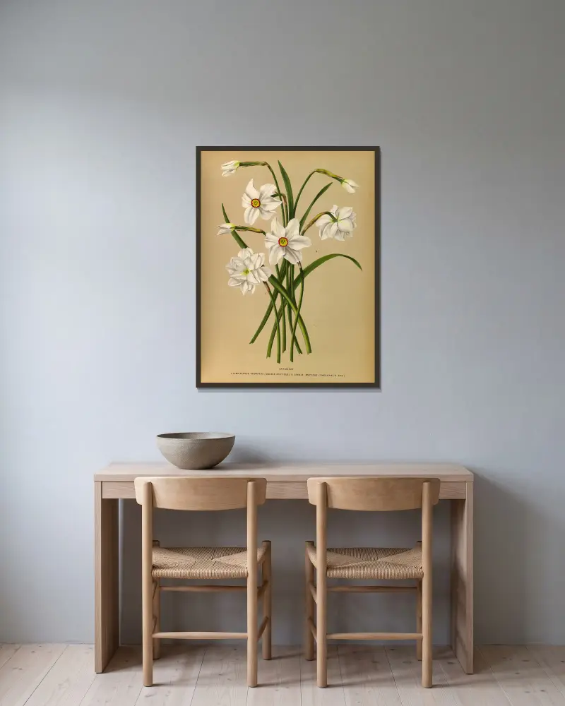 Narcissus 4 av Arentina Hendrica Arendsen inramad på en vägg