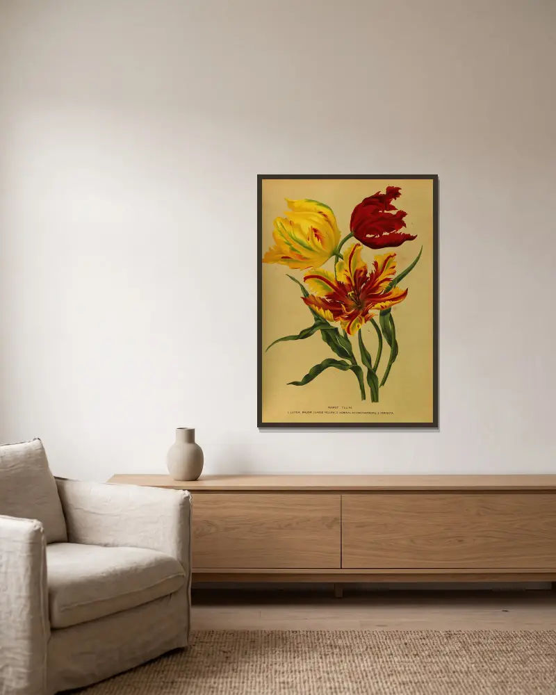 Parrot Tulips av Arentina Hendrica Arendsen inramad på en vägg