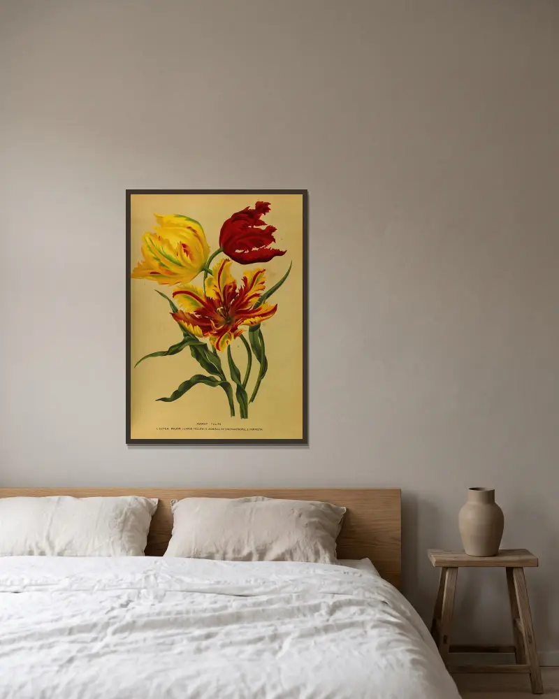 Parrot Tulips av Arentina Hendrica Arendsen inramad på en vägg