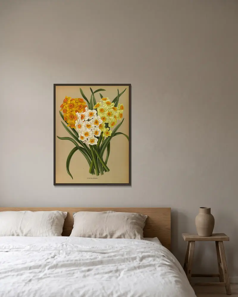 Polyanthus Narcissus av Arentina Hendrica Arendsen inramad på en vägg