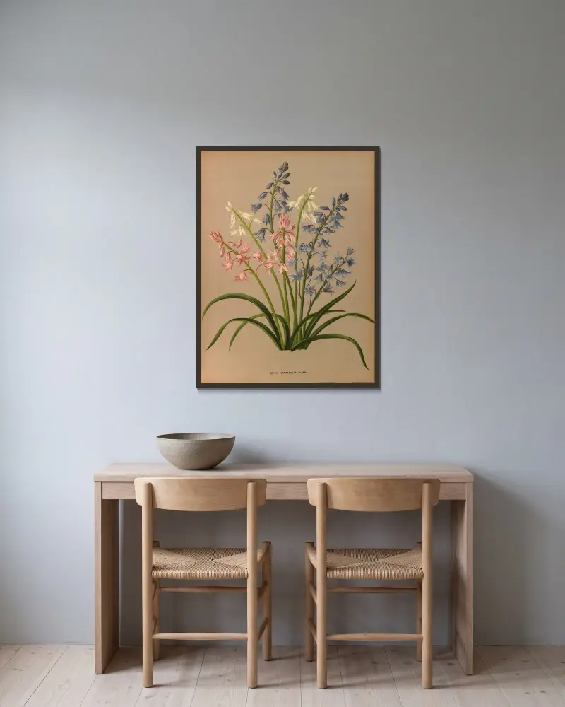 Scilla Campanulata Varr. av Arentina Hendrica Arendsen inramad på en vägg