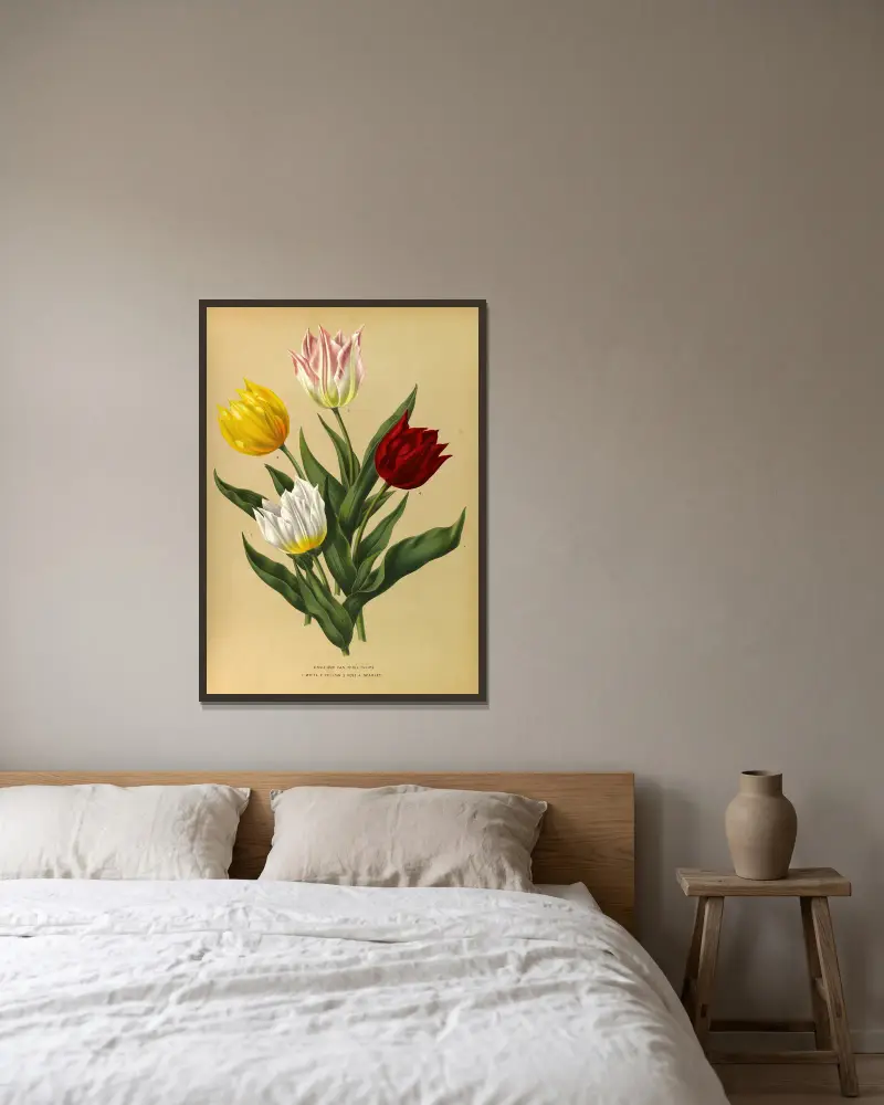 Single Duc Van Tholl Tuliips av Arentina Hendrica Arendsen inramad på en vägg