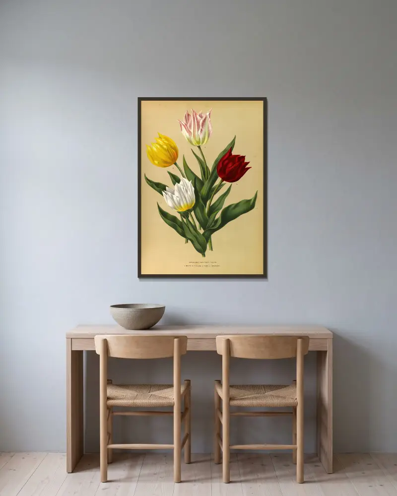 Single Duc Van Tholl Tuliips av Arentina Hendrica Arendsen inramad på en vägg