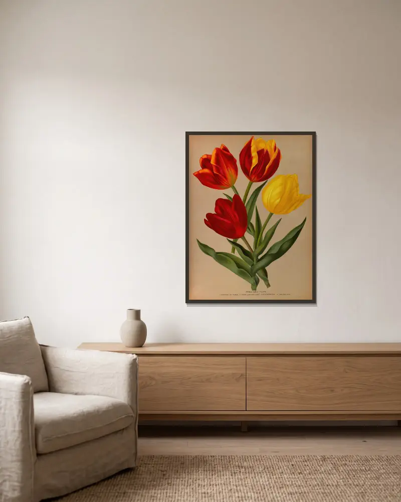 Single Early Tulips 4 av Arentina Hendrica Arendsen inramad på en vägg