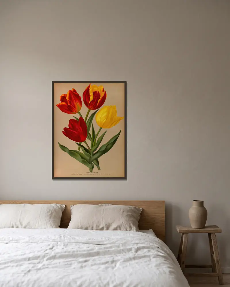 Single Early Tulips 4 av Arentina Hendrica Arendsen inramad på en vägg