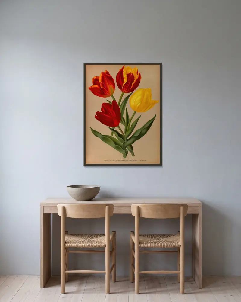 Single Early Tulips 4 av Arentina Hendrica Arendsen inramad på en vägg