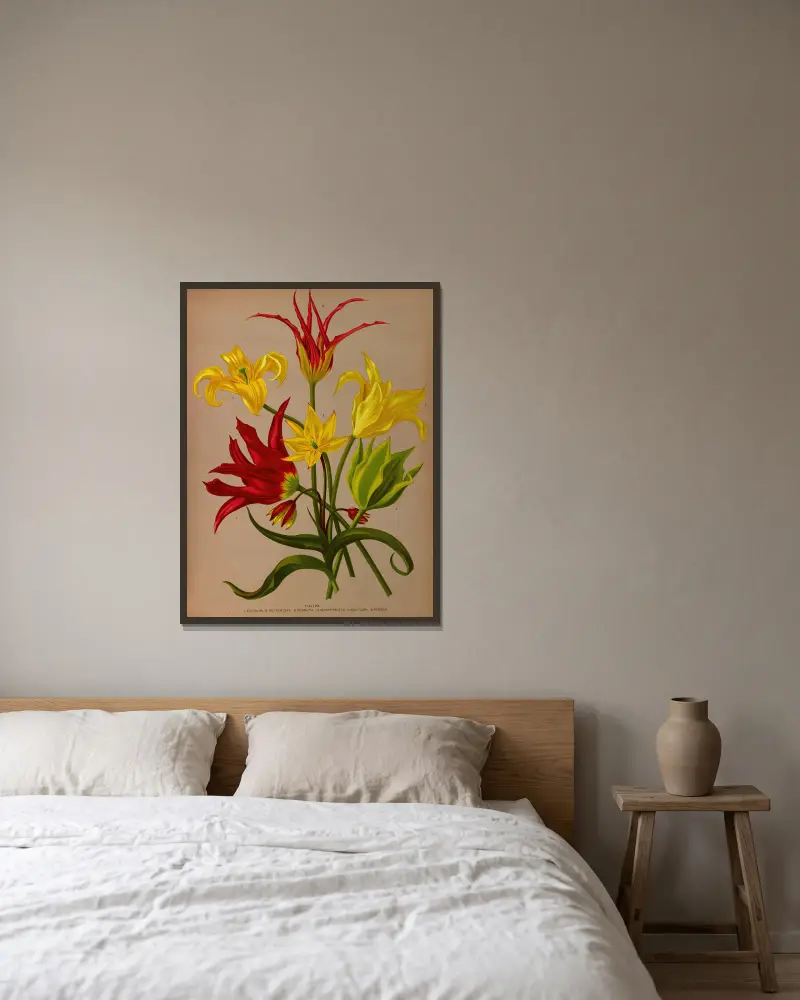 Tulpe von Arentina Hendrica Arendsen gerahmt an einer Wand