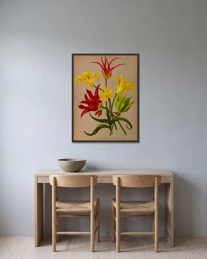 Tulpe von Arentina Hendrica Arendsen gerahmt an einer Wand